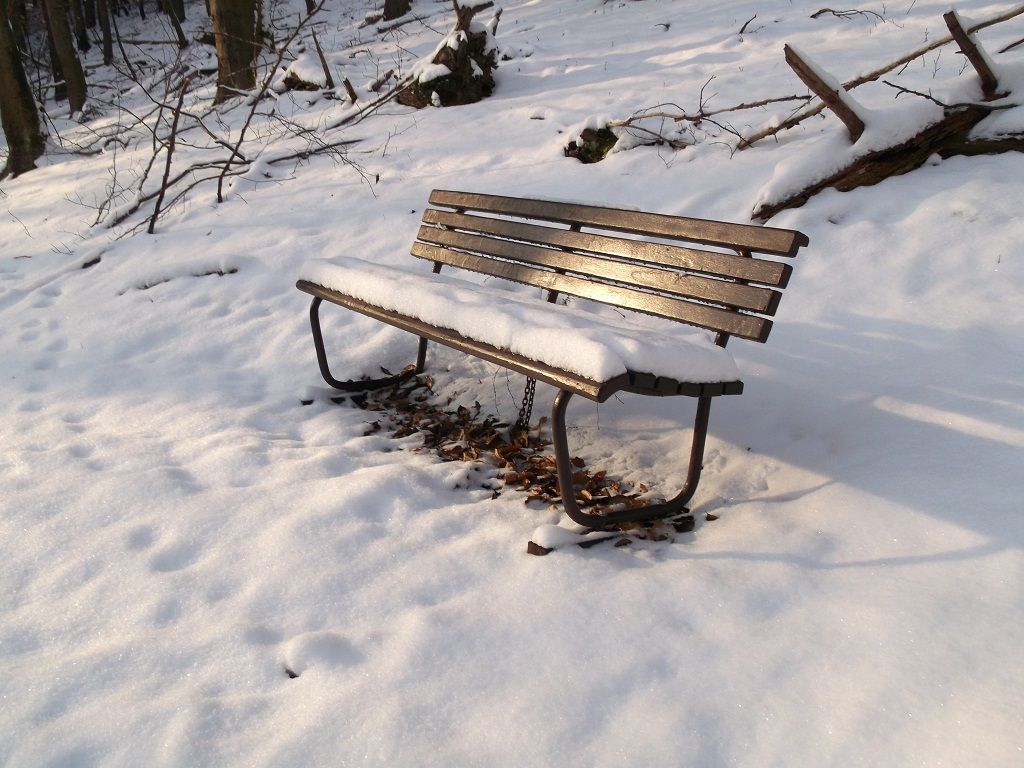 DHW0111.JPG